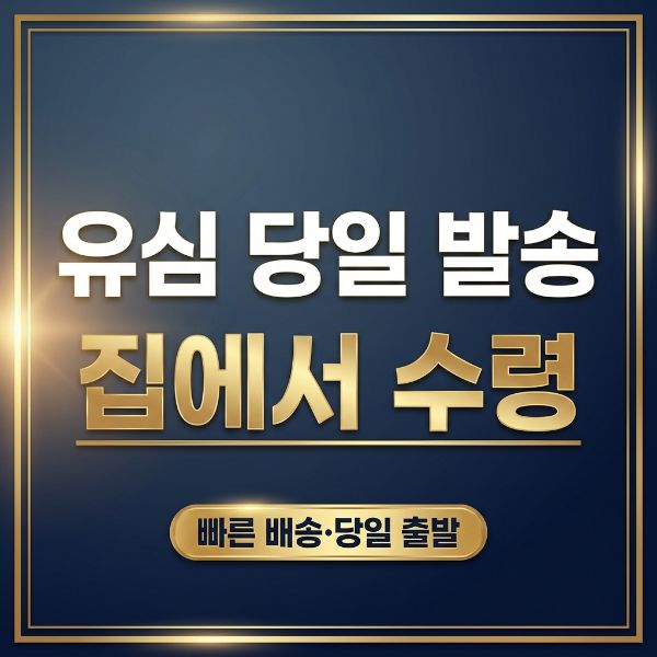 LG선불폰 5G와 LTE 요금제 갈래 잡기